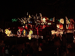 025 Toledo Zoo Light Show [2008 Dec 27]